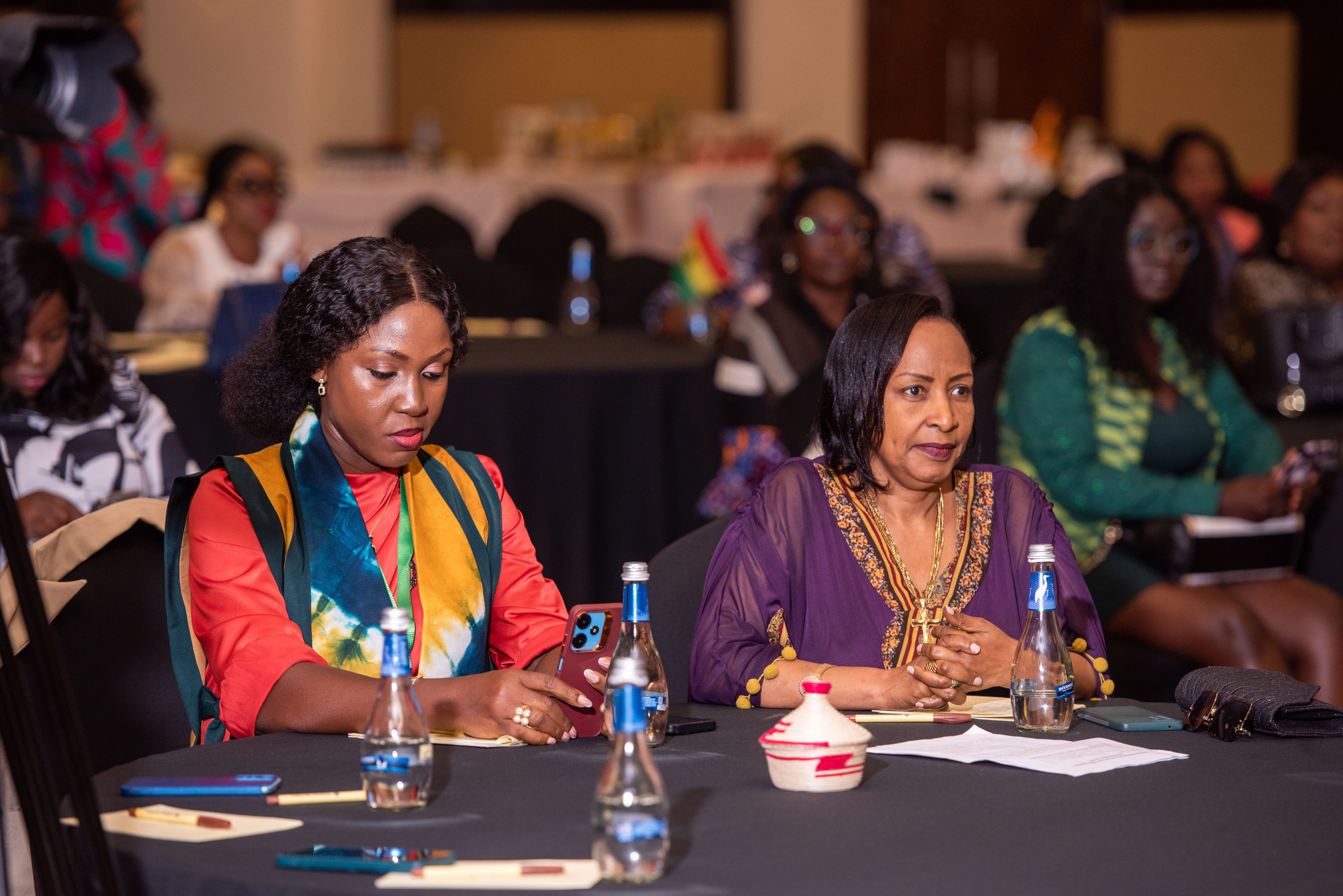 visionary african women summit 2024